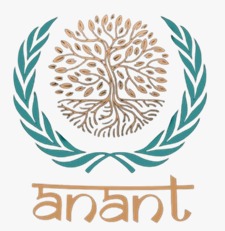 Anant Groups Logo